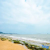 Отель Xinhai Xiaozhu Seaview Homestay, фото 8