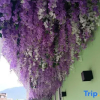 Отель Guoyan Mom's Flower Room Homestay (Ziyang Street Taizhou Fucheng Branch), фото 10