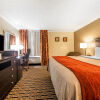 Отель Comfort Inn & Suites Cleveland, фото 4