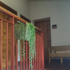 Отель House with 6 Bedrooms in Aizarnazabal, with Wonderful Mountain View, Terrace And Wifi, фото 10