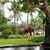 Отель The Amrta Borobudur, фото 13