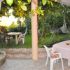 Отель Holiday Studio Apartments Tonia - Pelekas Beach, Corfu, фото 2