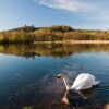 Отель Detached House With Pool in the Garden, on the Bank of the River, фото 6