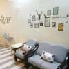 Отель N&T Budget Homestay, фото 11