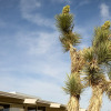 Отель The Bungalows by Homestead Modern at The Joshua Tree Retreat Center, фото 36