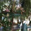 Отель Preah Vihear Jaya Hotel, фото 6