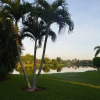 Отель 123CAPE Vacation Rentals - Naples FL, фото 12