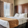 Отель Comfort Suites Near Texas State University, фото 17