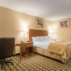 Отель Quality Inn & Suites, фото 22