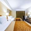 Отель Comfort Inn East, фото 15