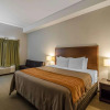 Отель Comfort Inn, фото 3