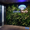 Отель Changchun Shama Hub New City Hotel, фото 13