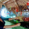 Отель Shapshico Lodge Ayahuasca, фото 10