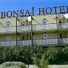 Отель Bonsai, фото 1