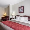 Отель Comfort Inn & Suites, фото 4