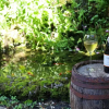 Отель Wine Garden Rooms, фото 18