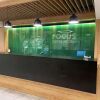 Отель Focus Park Sui̇t Hotel, фото 2