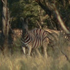 Отель Ohange Namibia Lodge, фото 18