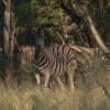 Отель Ohange Namibia Lodge, фото 7