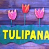 Отель Tulipana Berther Tujetsch в Туече