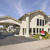 Отель Olive Tree inn & Suites, фото 1