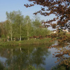 Отель L'Appartement de la Villa l'Olivier, фото 5