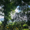 Отель Entre Los Arboles Hotel, фото 13