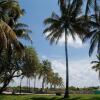 Отель Waldorf Towers South Beach, фото 21