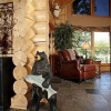 Отель Timber Oaks Bed and Breakfast, фото 16