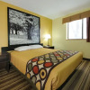 Отель Super 8 by Wyndham Latham/Albany Airport, фото 4