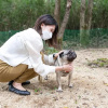 Отель S-villa Nasu 8th BBQ grill is option plan Extra fee 6000yen include tax, фото 22