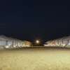 Отель Singh's Royal Desert Resort, фото 8