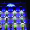 Отель Royal Madero Inn, фото 17
