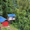 Отель Jungle Crown Organic Homestay, фото 1