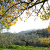 Отель Armonia Alpujarra, фото 37