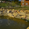 Отель Pensiunea Agroturistica Casa Coliniţa, фото 5