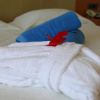 Отель Caravia Beach Hotel & Bungalows - All Inclusive, фото 6