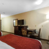 Отель Comfort Inn & Suites Airport South, фото 33