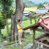 Отель Miyama Futon & Breakfast, фото 6