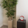Отель Triple A Apartmemts - Aristofanous 20, фото 14