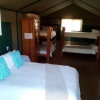 Отель Sabie River Camp, фото 1