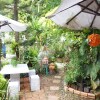 Отель Garden Homestay, фото 17