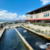 Отель Yesilalan Hotel Caykara, фото 3