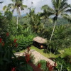 Отель Payangan Hideaway Villa Ubud, фото 6