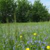 Отель Ferienwohnung Blaumeise, фото 35