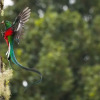 Отель Paraíso Quetzal Lodge, фото 15