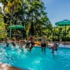 Отель Jackaroo Treehouse Mission Beach - Hostel, фото 15