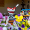 Отель Knightsbury Guest House, фото 11