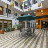 Отель Oaxaca Guest House, фото 13