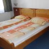 Отель Hungária Panzió, фото 2